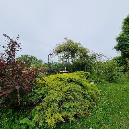 Garden Apartment Sečovlje Dış mekan fotoğraf