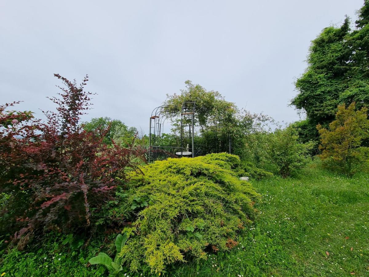 Garden Apartment Sečovlje Dış mekan fotoğraf