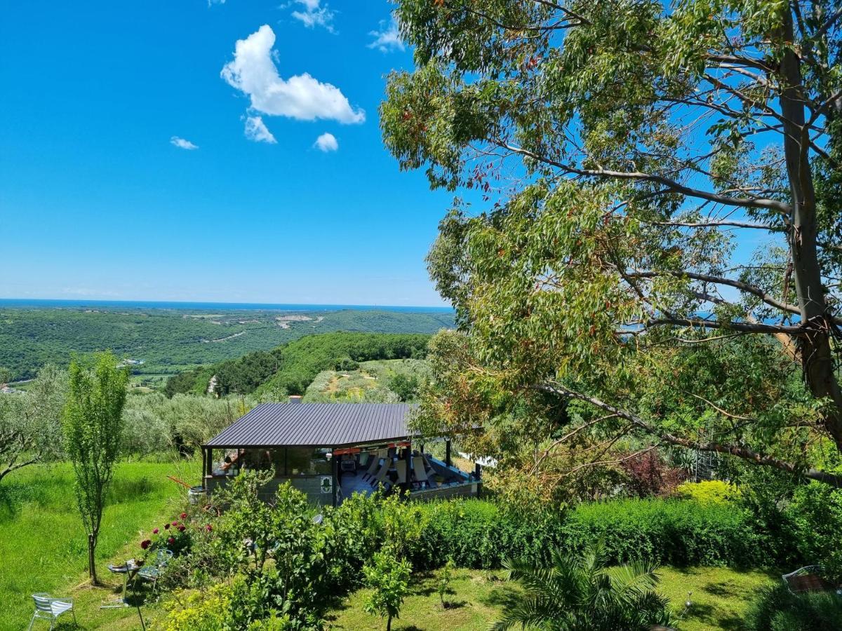 Garden Apartment Sečovlje Dış mekan fotoğraf