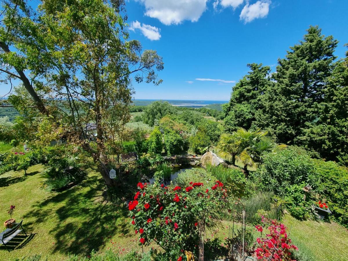 Garden Apartment Sečovlje Dış mekan fotoğraf